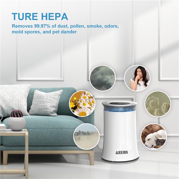 High CADR Air Purifier Ozone-Free - Gazette Enterprises™